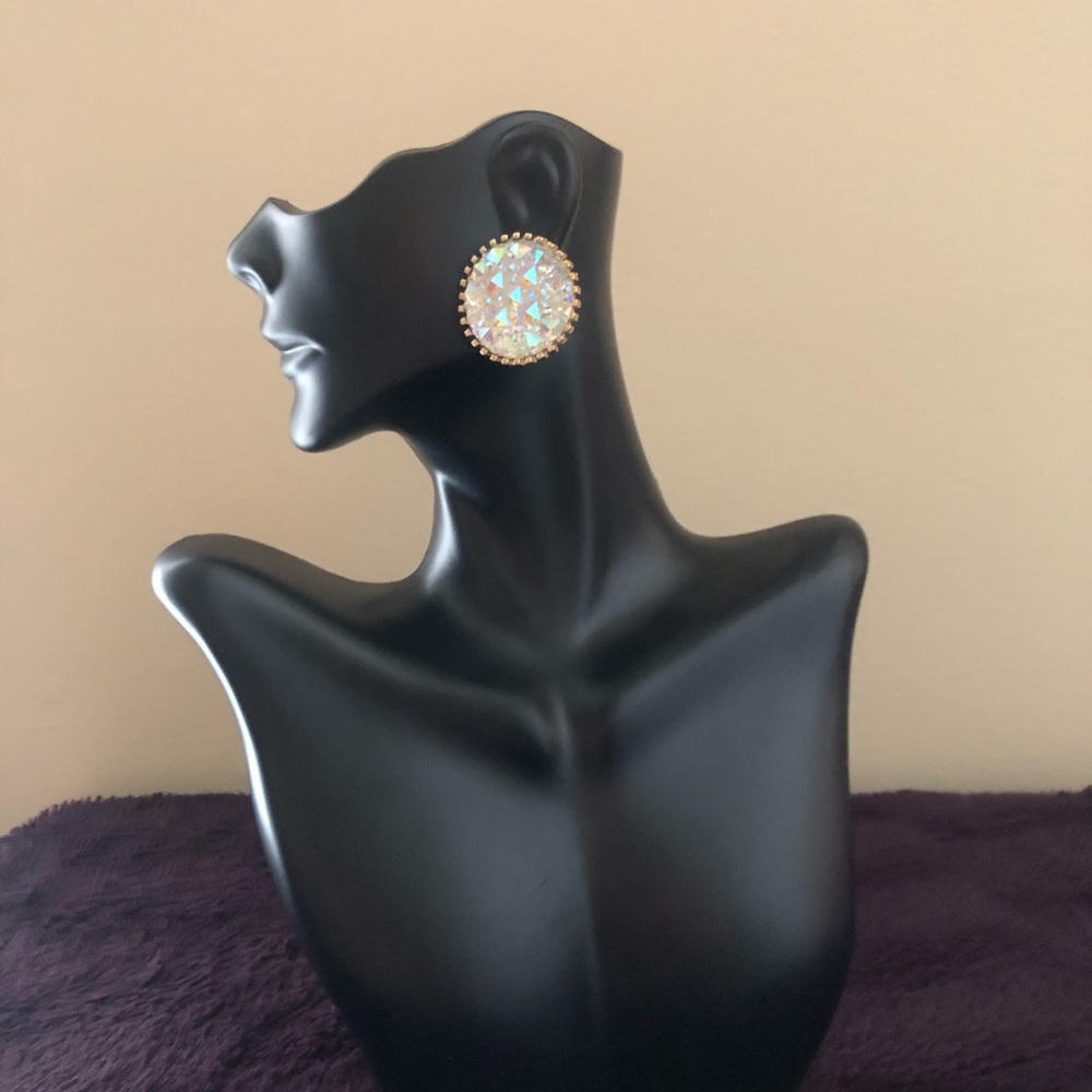 Iridescent Large Earrings